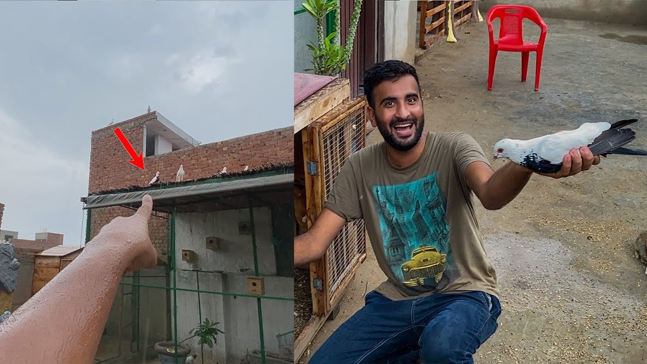 Aj Hum Ne Nayab Kbooter pkra 🥳