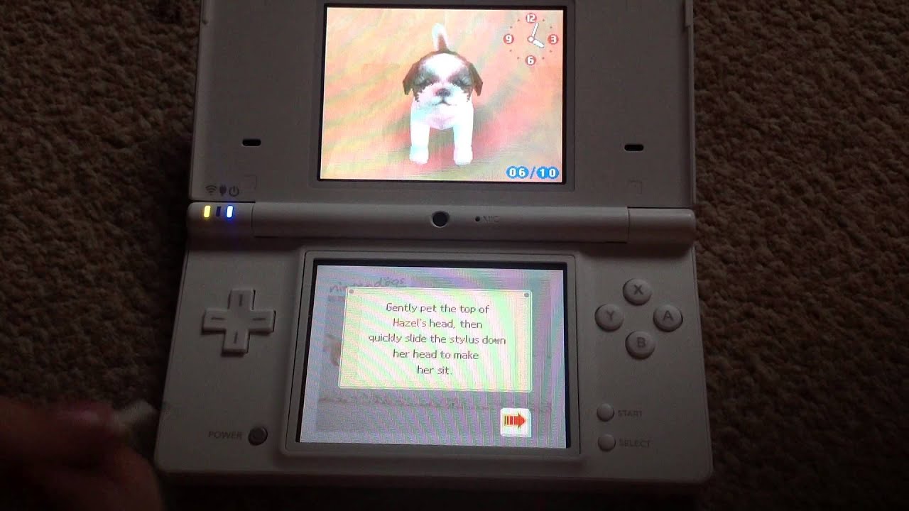 Nintendogs Dachshund and Friend Part 1