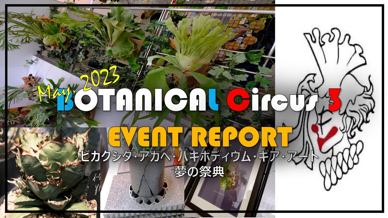 【ビカクシダ・アガベ・塊根】夢の祭典 Botanical Circus 3 ｜ボタニカルギア｜アリ植物｜ボタニカルサーカス3