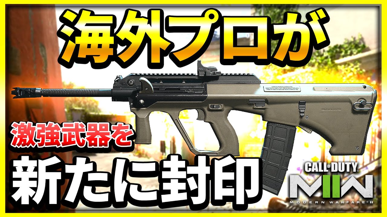【CoD:MW2】激強武器の『STB556』が海外プロの間で禁止に!?【ぐっぴー】CoD:Modern Warfare ll