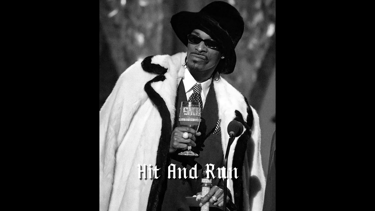 Snoop Dogg x Pfacebaby Type Beat 2026 – West Coast G-Funk - 
