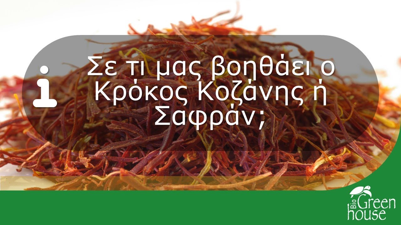 &Kappa;&rho;ό&kappa;&omicron;&sigmaf; &Kappa;&omicron;&zeta;ά&nu;&eta;&sigmaf; &hellip;&alpha;&pi;ό&lambda;&upsilon;&tau;&alpha; &omega;&phi;έ&lambda;&iota;&mu;&omicron;&sigmaf; &gamma;&iota;&alpha; &tau;&omicron;&nu; &omicron;&rho;&gamma;&alpha;&nu;&iota;&sigma;&mu;ό &mu;&alpha;&sigmaf;