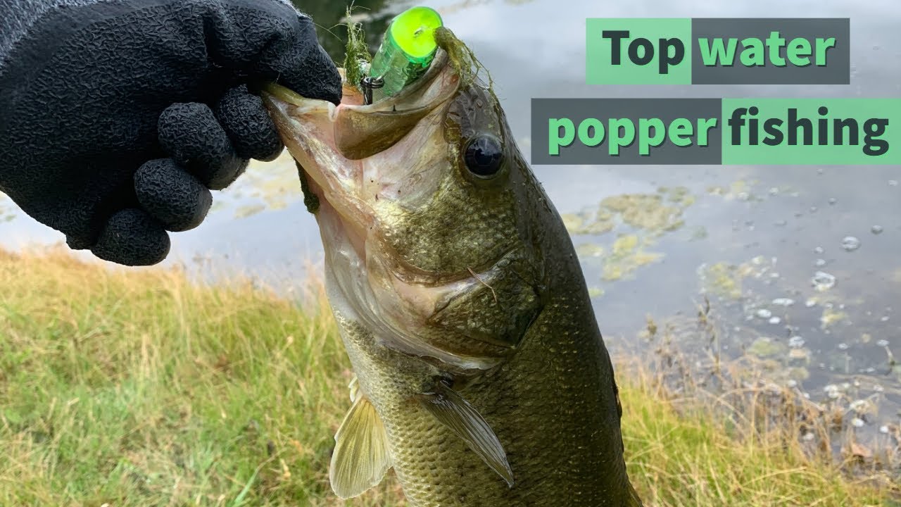 FIRST FISHING VIDEO! (TOP WATER POPPER)