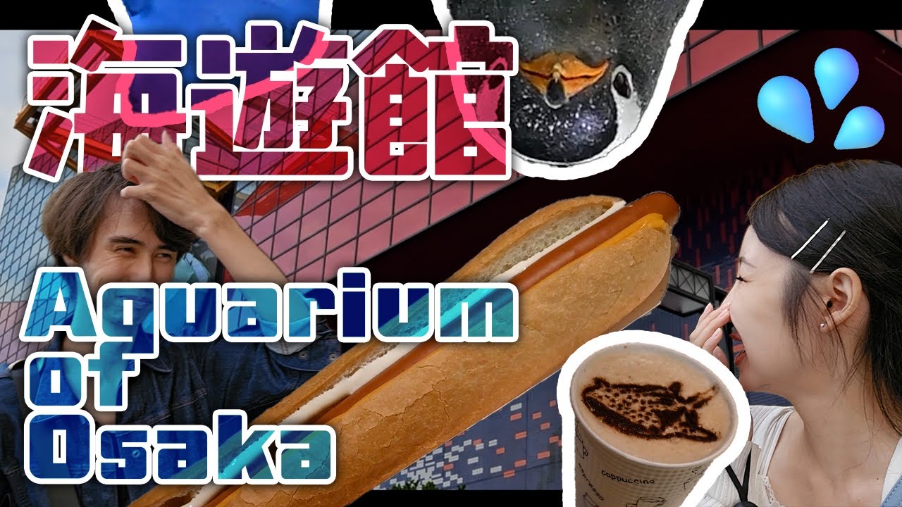 Osaka Aquarium｜海遊館の巨大ザメ！全長38cm越えのチンアナゴドッグを食す！