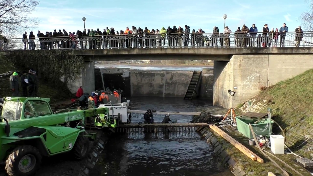 Mein Fichtelgebirge: Abfischen Weißenstädter See 2016