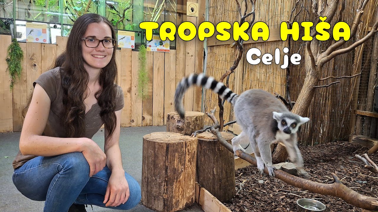 Tropska hi&scaron;a, Celje