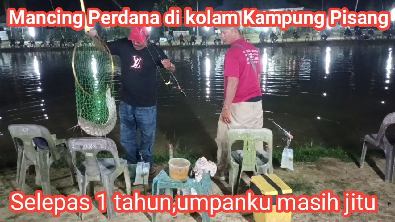 Mancing perdana di kolam yang sudah lebih setahun kutinggalkan,umpan ku masih jitu