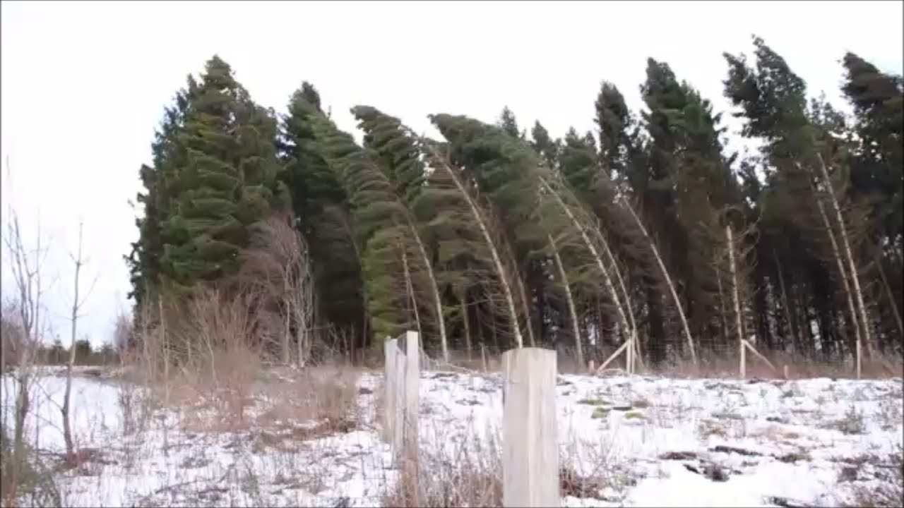 Orkan Friederike mit schweren Sturmböen in Siegen 18.01.2018