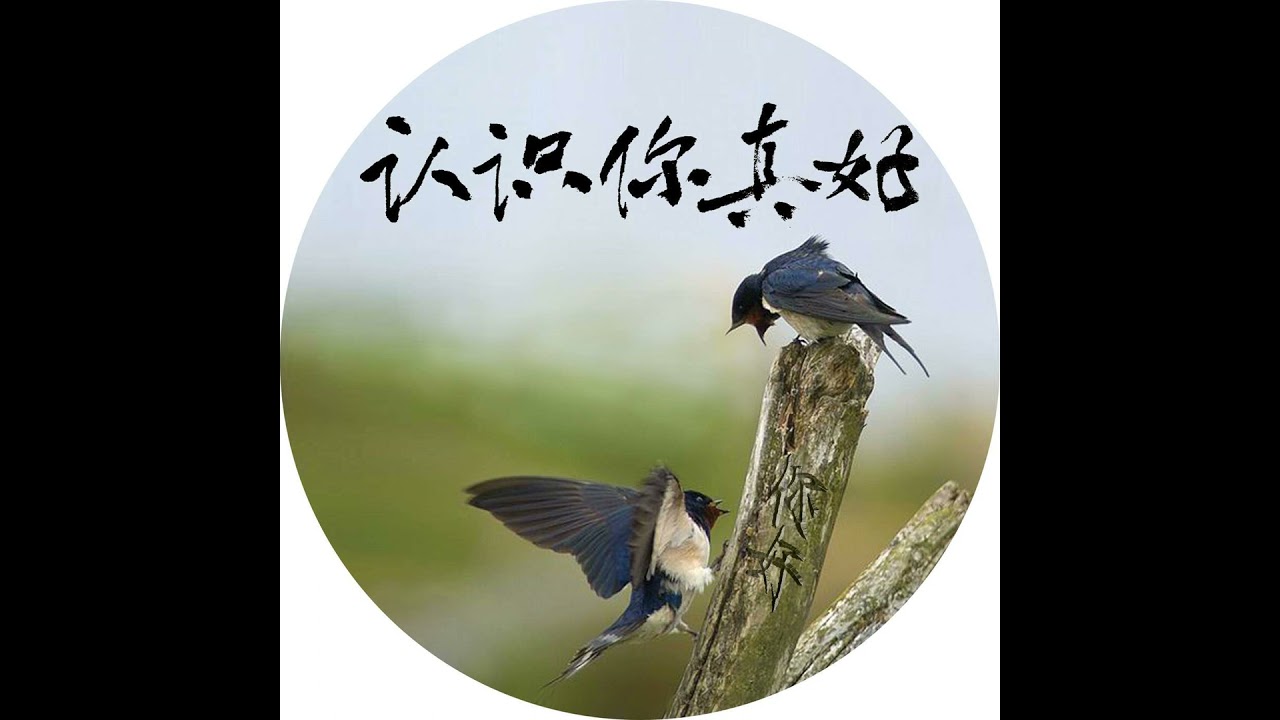 26年03月17日 认识你真好