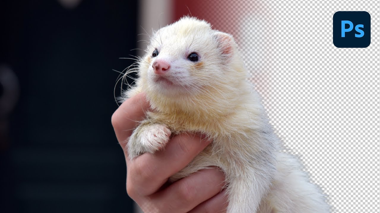 Comment faire un DÉTOURAGE RAPIDE ET EFFICACE - TUTO PHOTOSHOP 2023