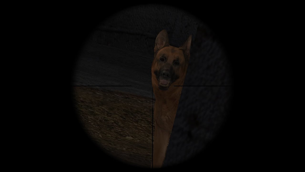 Real Return to Castle Wolfenstein - Radar - German Shepherd Hunting Underwater