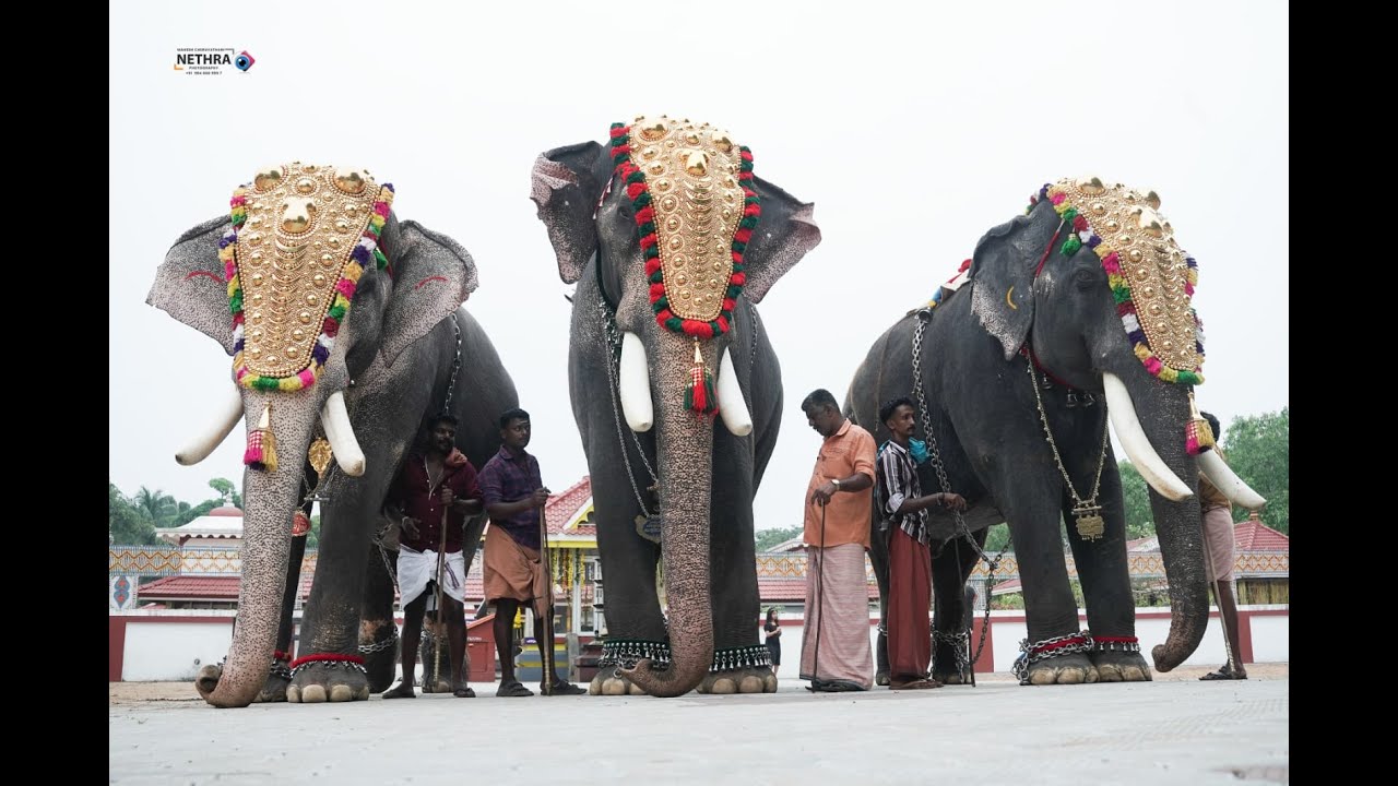 ശ്രീ വിശ്വനാഥക്ഷേത്ര ദേശവിളക്ക് മഹോത്സവം 2025 നവംബർ 29.