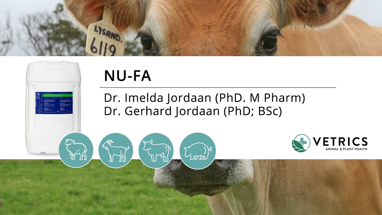 Dieregesondheid: NU-FA - 1 Minuut  (Afrikaans)