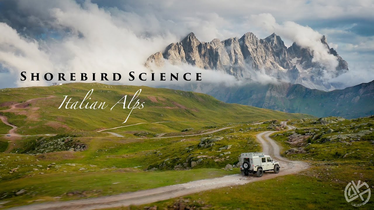 Shorebird science: Italian Alps