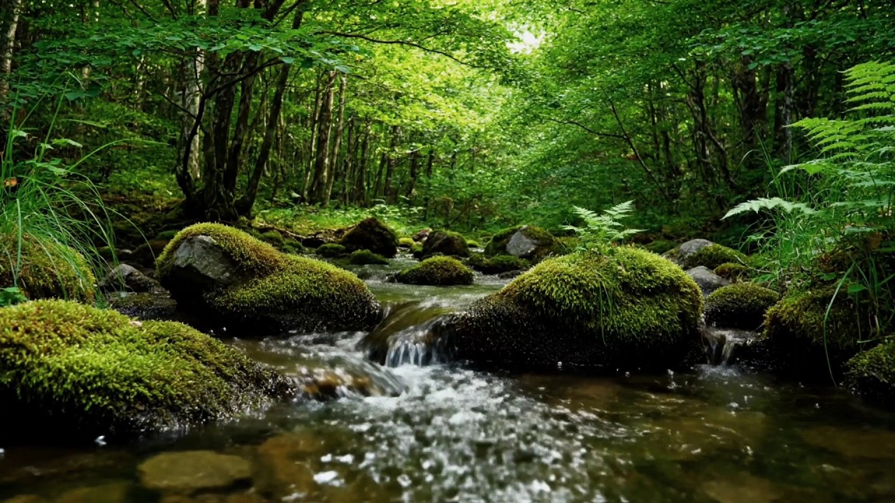 River Sounds for Sleeping — Beat Insomnia and Fall Asleep Faster Tonight (No Music)