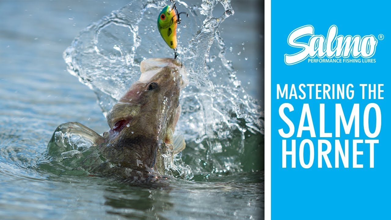 *** SALMO UK *** MASTERING THE SALMO HORNET