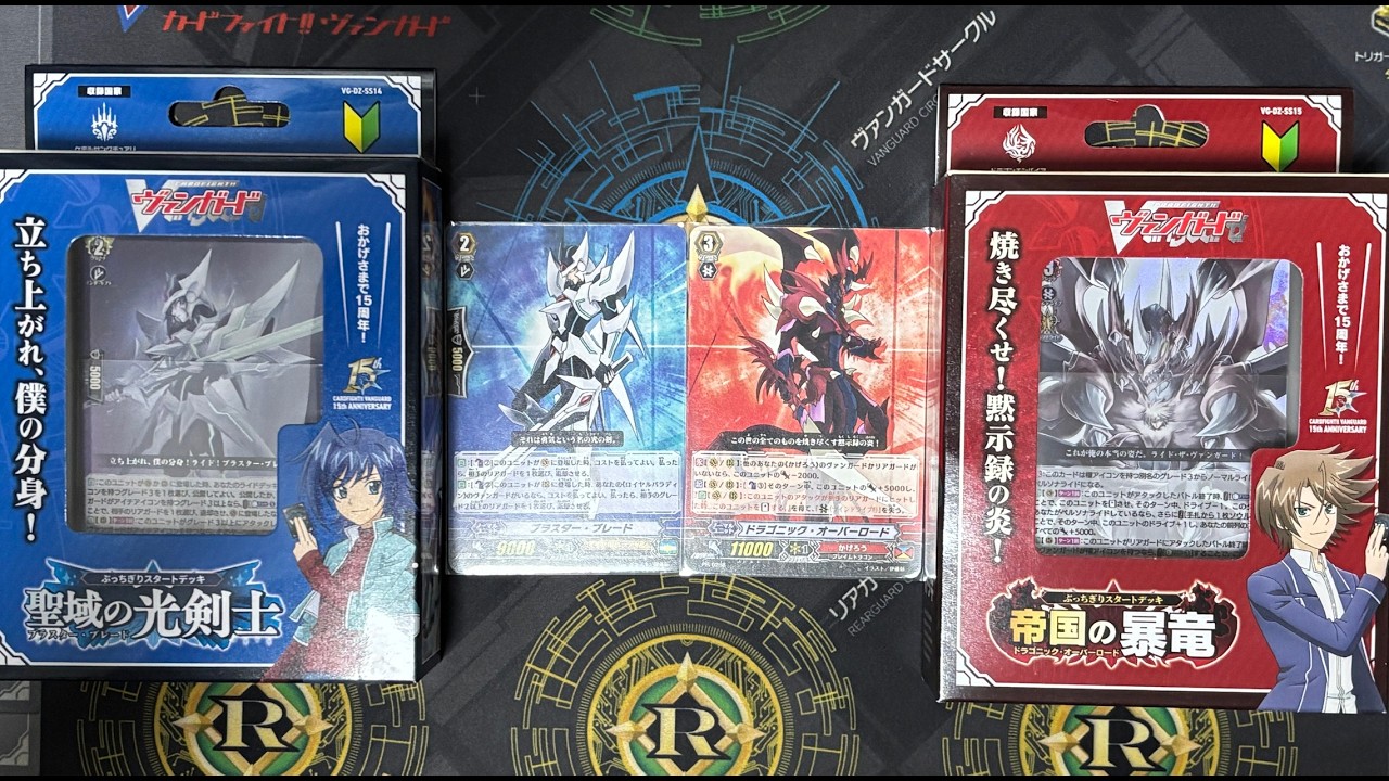 VG-DZ-SS14/15 (Распаковка)