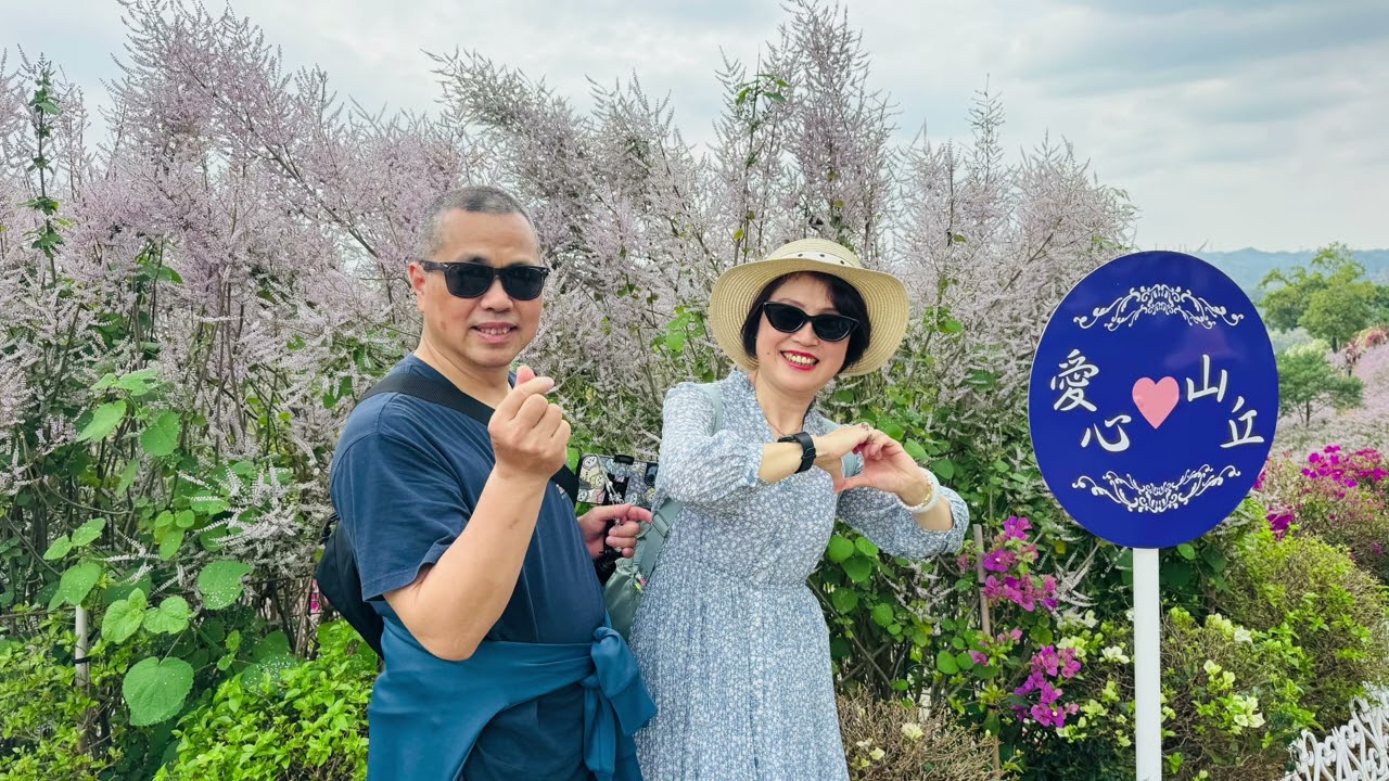 桐花旅遊115.03.02粉紅山丘￼