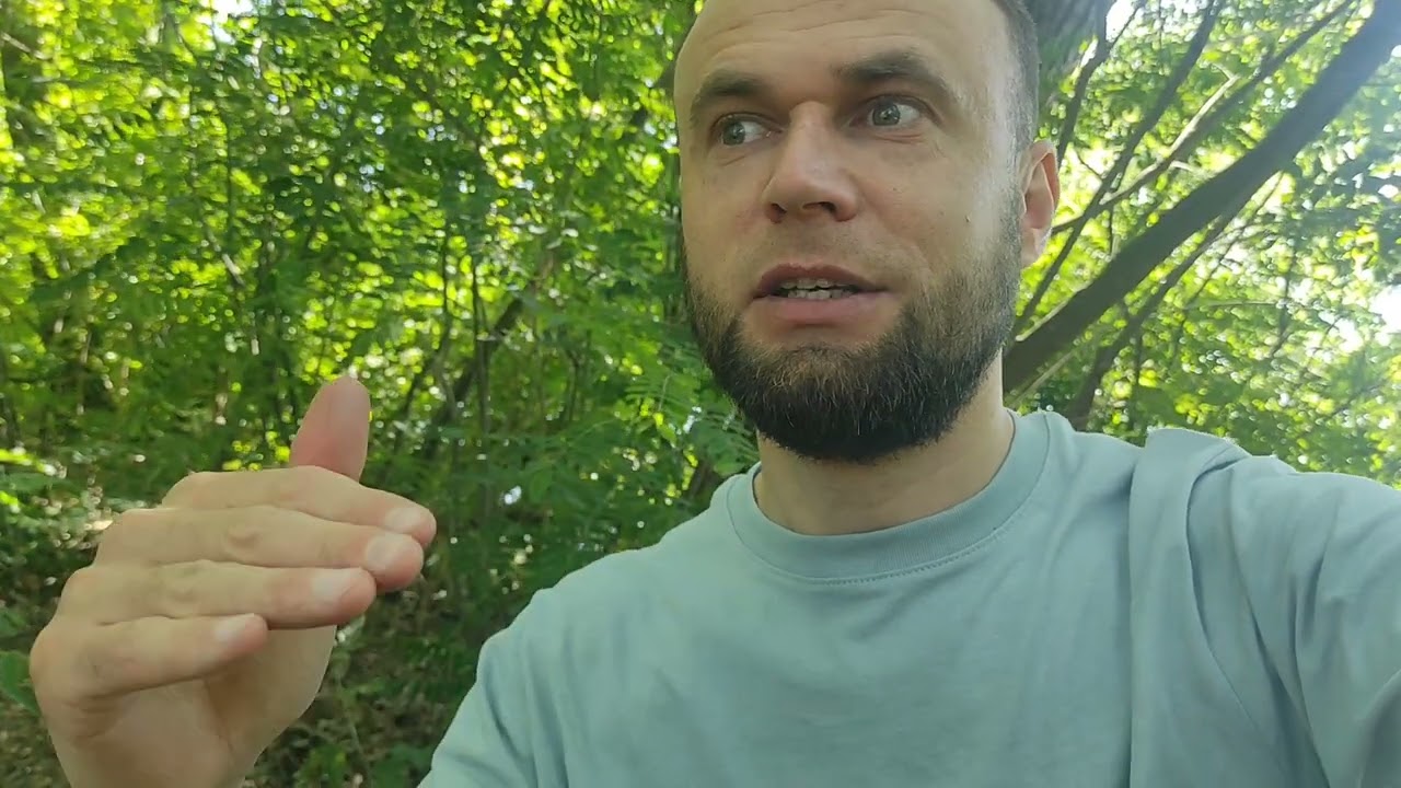 Нужна ли мне моя коллекция CD и кассет? Мои откровения