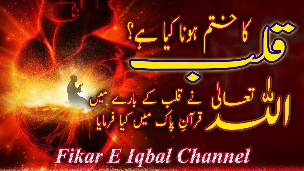 Qalb Ka Khatam Hona Kya Hai!!!