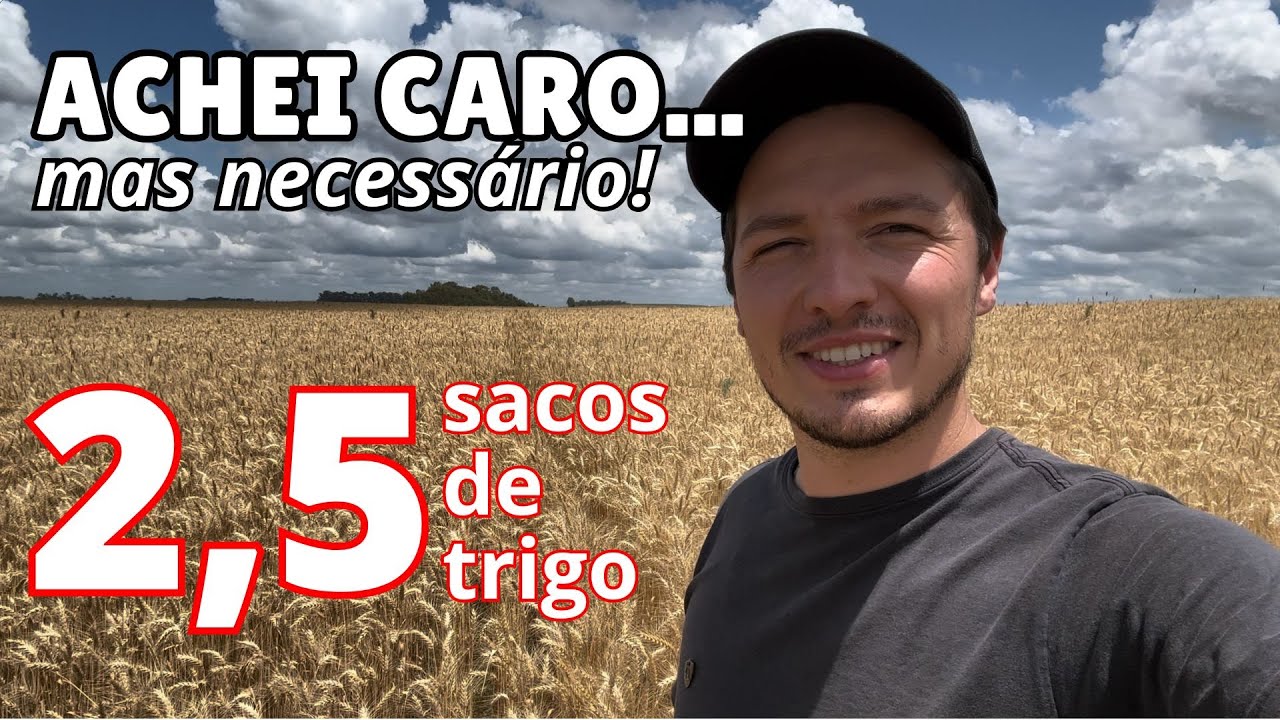 DESSE&Ccedil;&Atilde;O DO TRIGO E DA BUVA! Pegou at&eacute; as plantas mais novas...