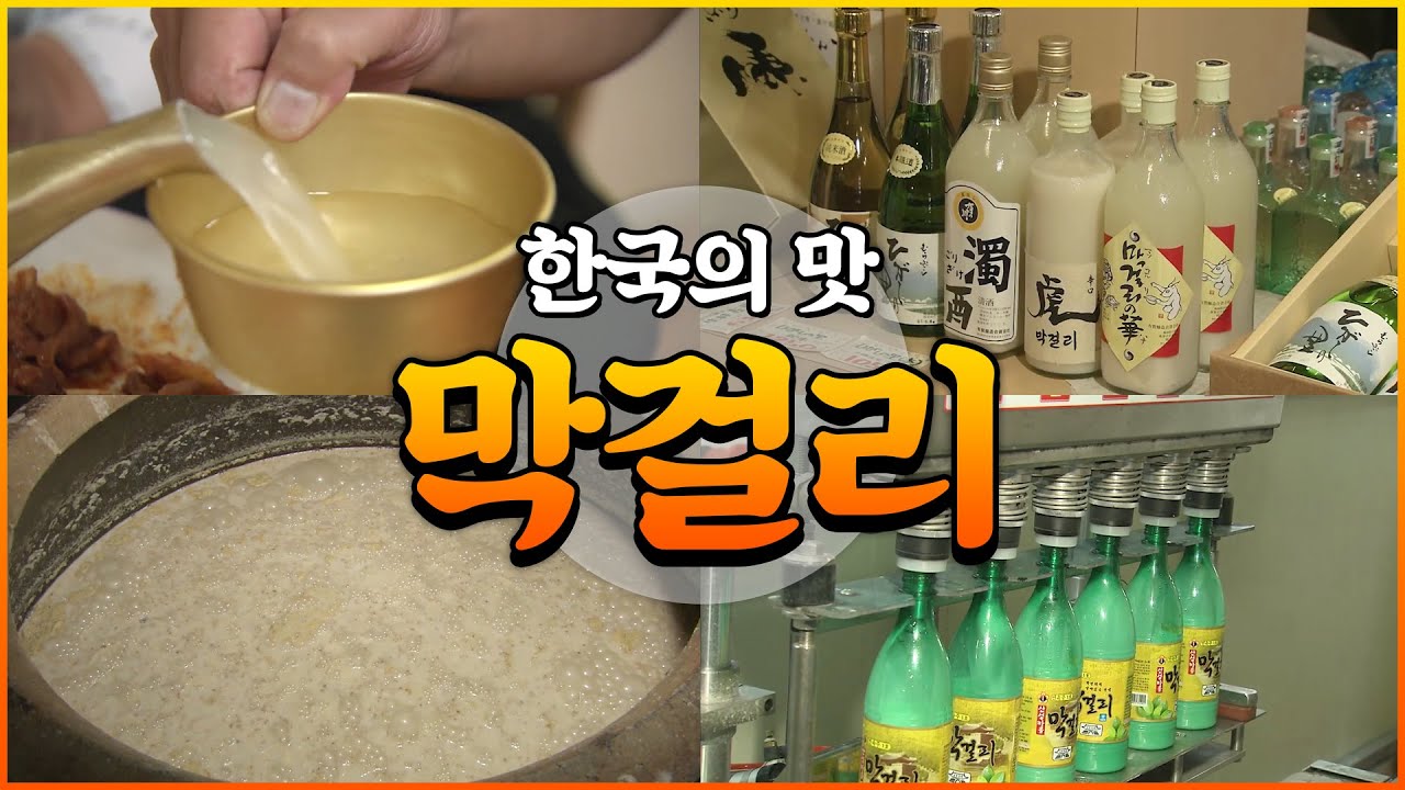 영탁 때문에 막걸리 열풍!! 발효과학의 결정체 막걸리의 효능은? [다큐_한국의맛 1부]