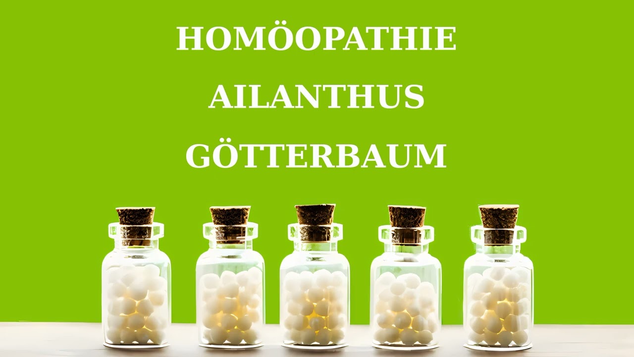 Hom&ouml;opathie: Ailanthus / G&ouml;tterbaum