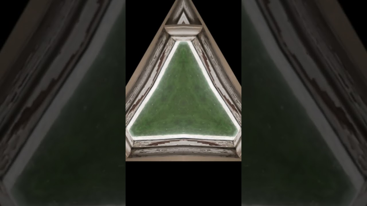 Butterfly’s need to be set free 