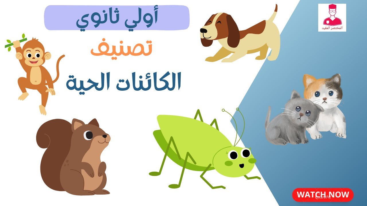 أسس تصنيف الكائنات الحية - احياء اولي ثانوي الترم الثاني 2024