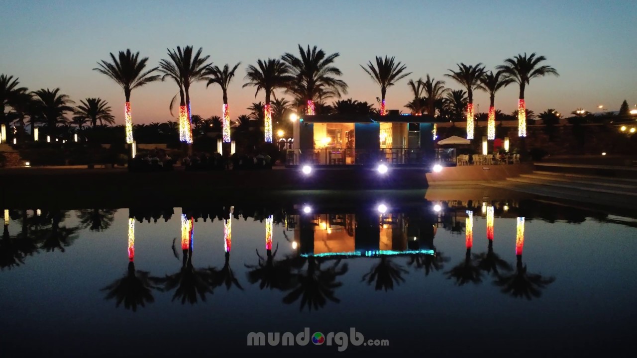 Iluminación Palmeras NAUTICA THE SUTTON (Almería) Spain
