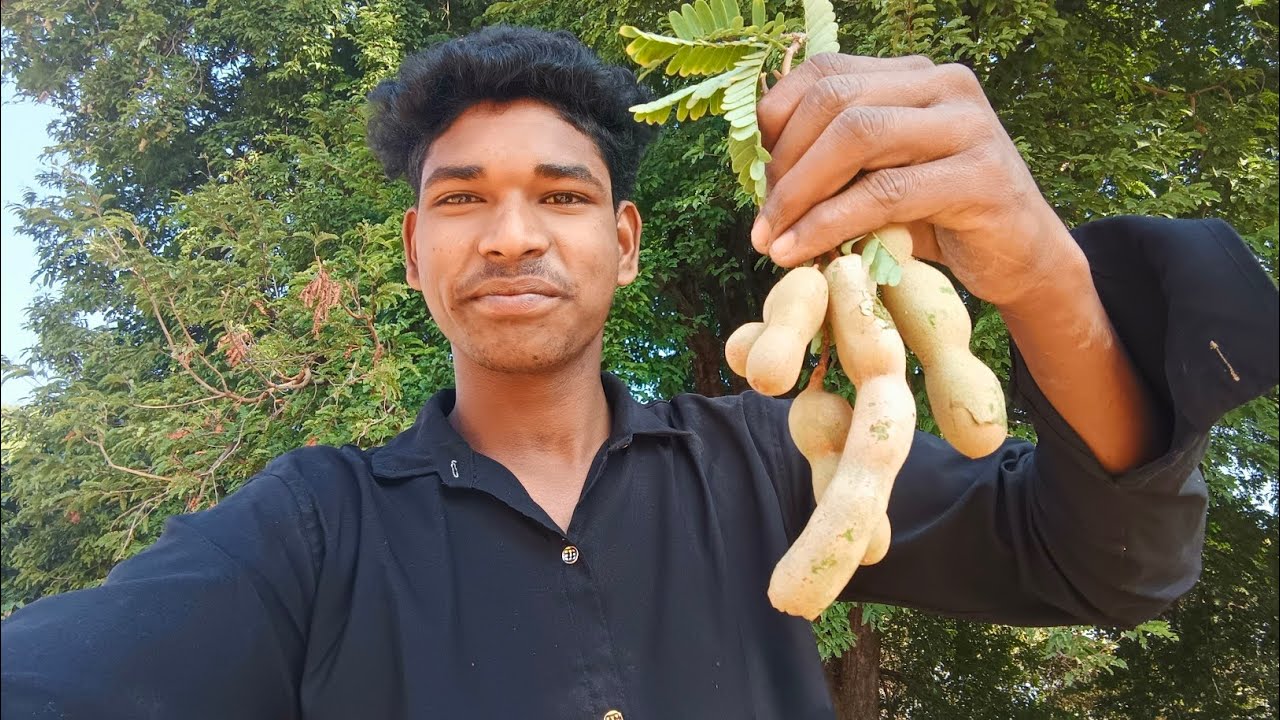 Desi vlogs day 2 😃