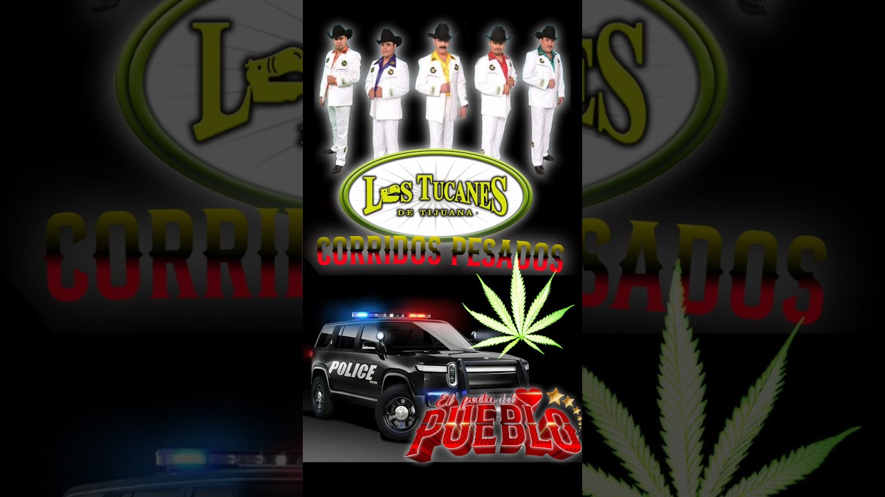 el m&aacute;s perron los Tucanes de Tijuana