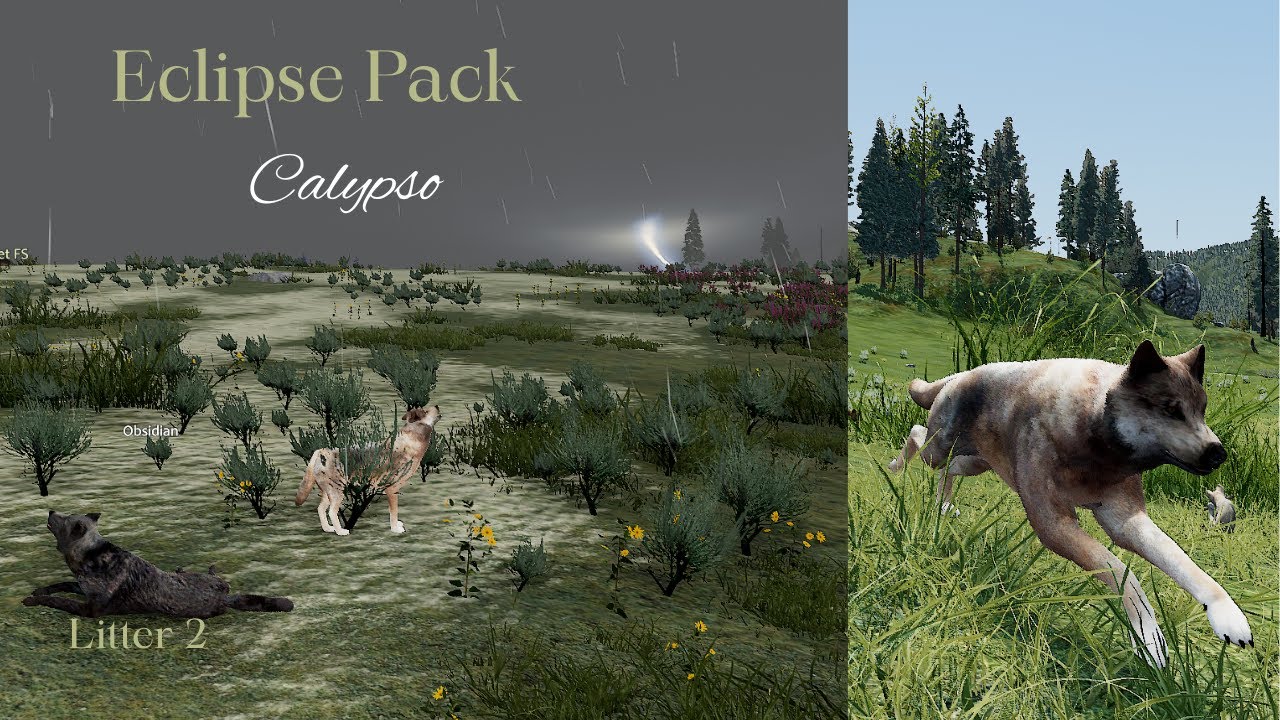 Eclipse Pack - Calypso L2 - Growing Pups [WolfQuest Saga]