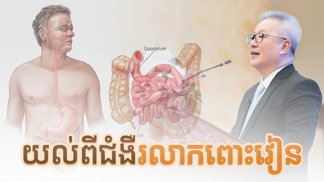 យល់ដឹងអំពីជំងឺរលាកពោះវៀន | ចក្ខុវិស័យ គួច ម៉េងលី