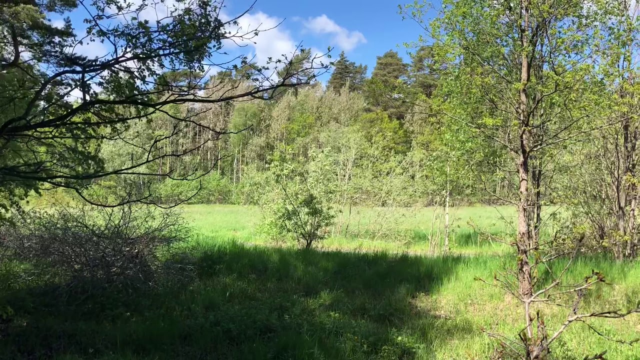 Landskapsvandring