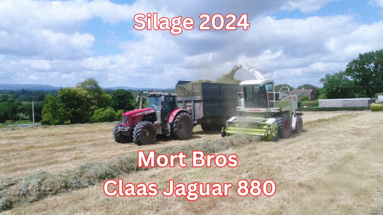 MORT BROS - SILAGE 2024 - CLAAS JAGUAR 880