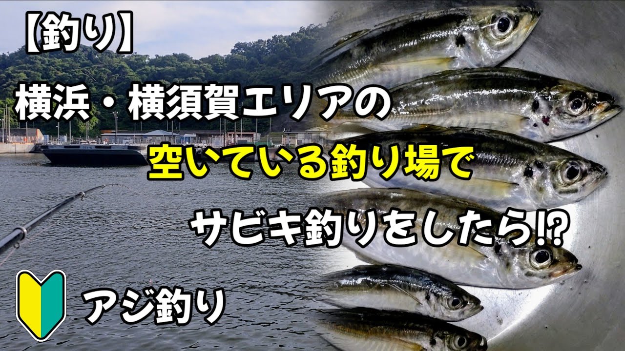 【東京湾陸っぱり】混雑する釣り場を避けて、ガラ空きの釣り場でサビキ釣りしたら!?ロマンがあるアジ探し！