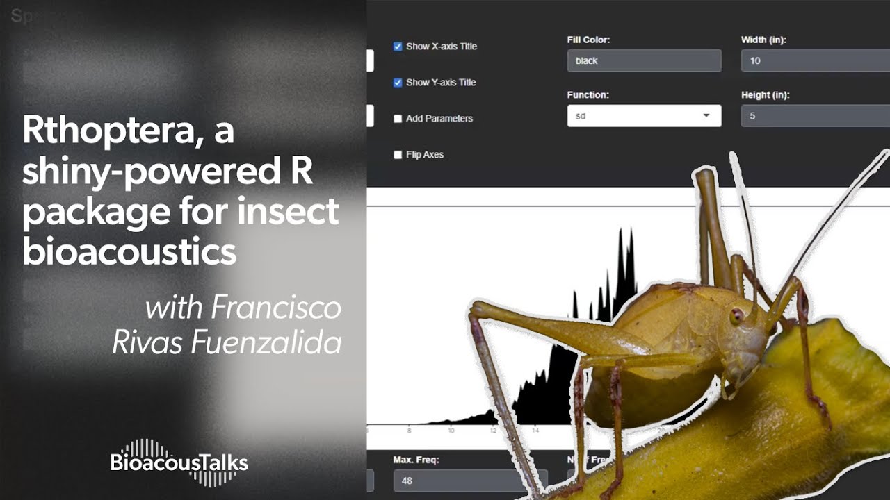 BioacousTalks: Rthoptera, an Rpackage for insect bioacoustics with Francisco Rivas Fuenzalida
