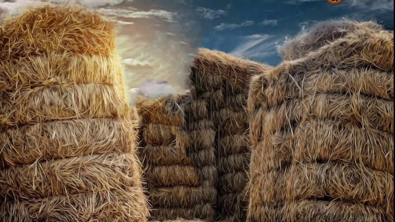 Top 10 Background for Manipulation | Youth photography | Free Download