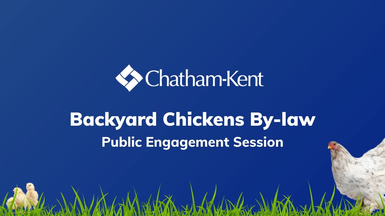 Backyard Chickens By-law Public Engagement Session