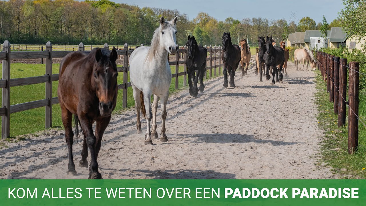 Kom alles te weten over een Paddock Paradise