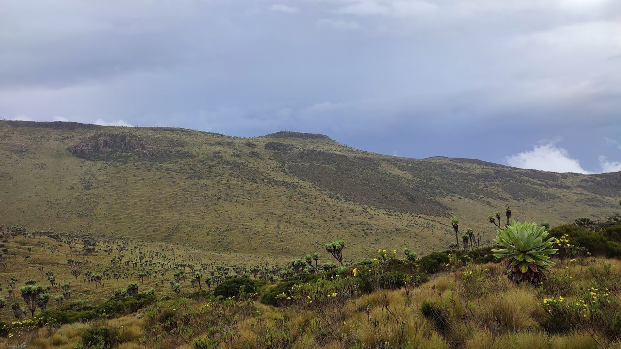 Mount Satima - Table Mountain Traverse