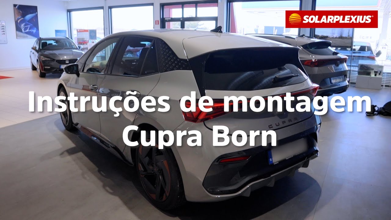 Solarplexius no Cupra Born
