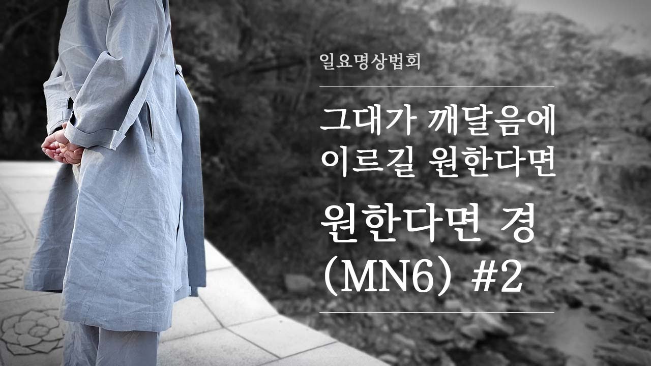 그대가 깨달음에 이르길 원한다면ㅣ원한다면 경(MN6) #2 l 혜안스님