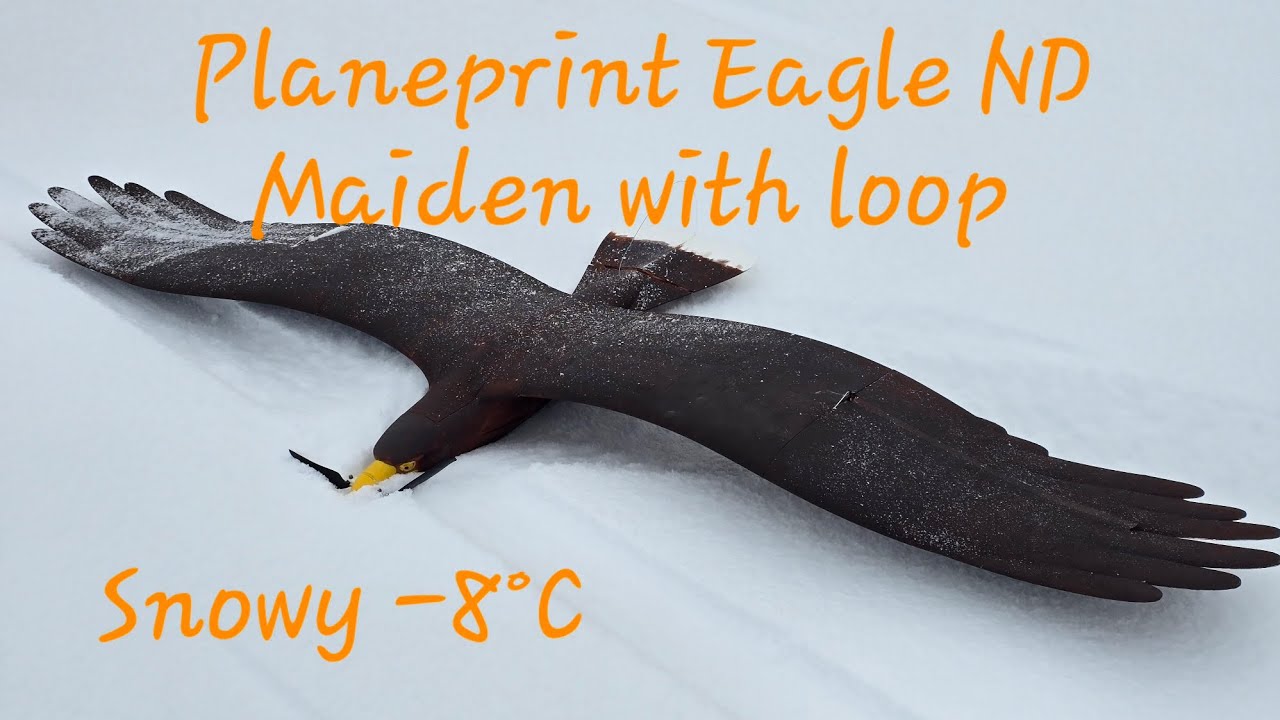 Planeprint Eagle ND Maiden with loop 