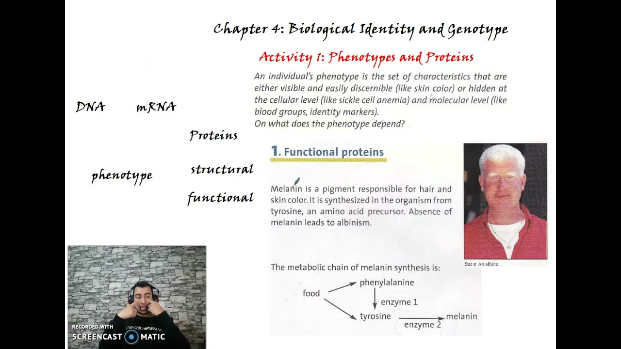Chapter 4:  Activity 1 Proteins and Phenotypes #Grade_11_science