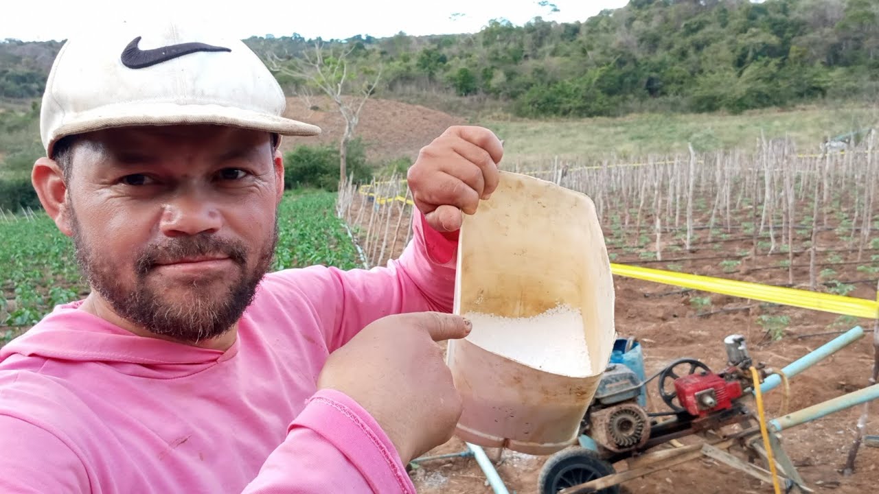 nitrato de cálcio na fertirrigação.