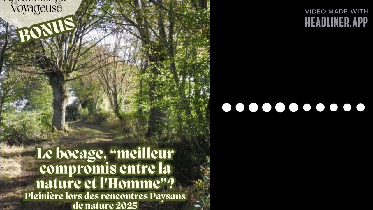 BONUS 🌳🦉 Le bocage, meilleur compromis entre la nature et l'Homme ? Rencontres Paysans de nature...
