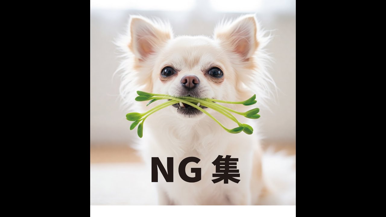 【NG集2】AIチワワが一生懸命料理します AI Chihuahua cooks Japanese cuisine