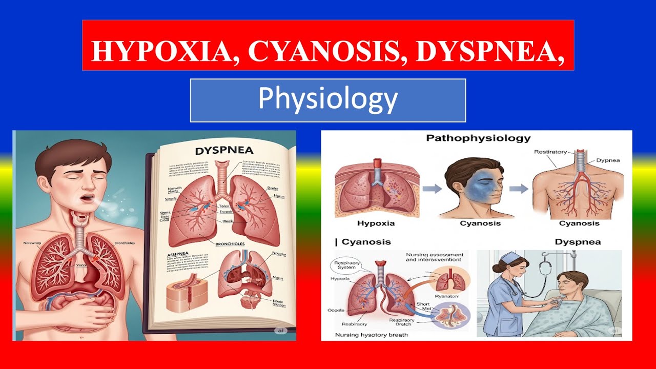HYPOXIA, CYANOSIS, DYSPNEA,  - Applied Physiology For nursing